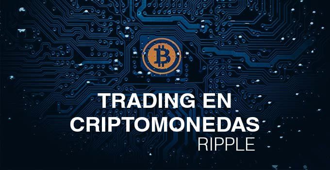 Forex para torpes