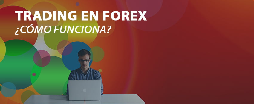 Forex para torpes