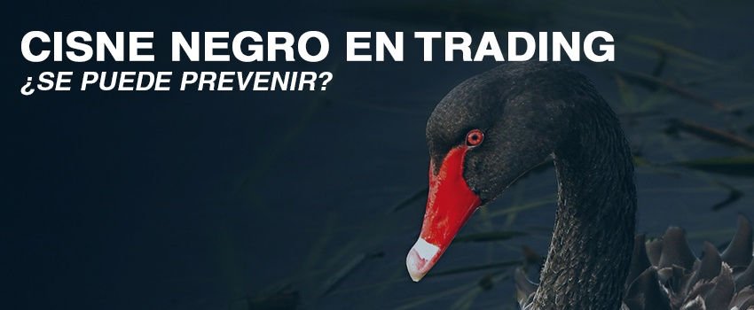 Complejo compañera de clases El extraño Qué es el "cisne negro" en trading | Trading y Bolsa